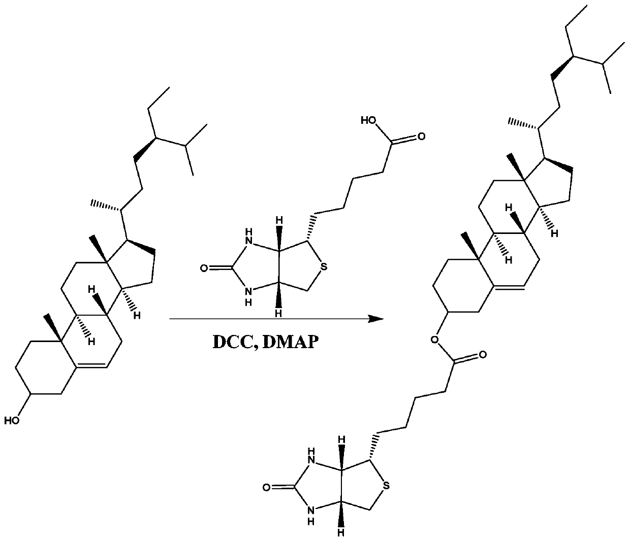 Beta-sitosterol derivative as well as preparation method and application thereof