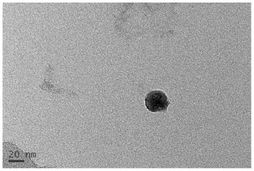 Beta-sitosterol derivative as well as preparation method and application thereof