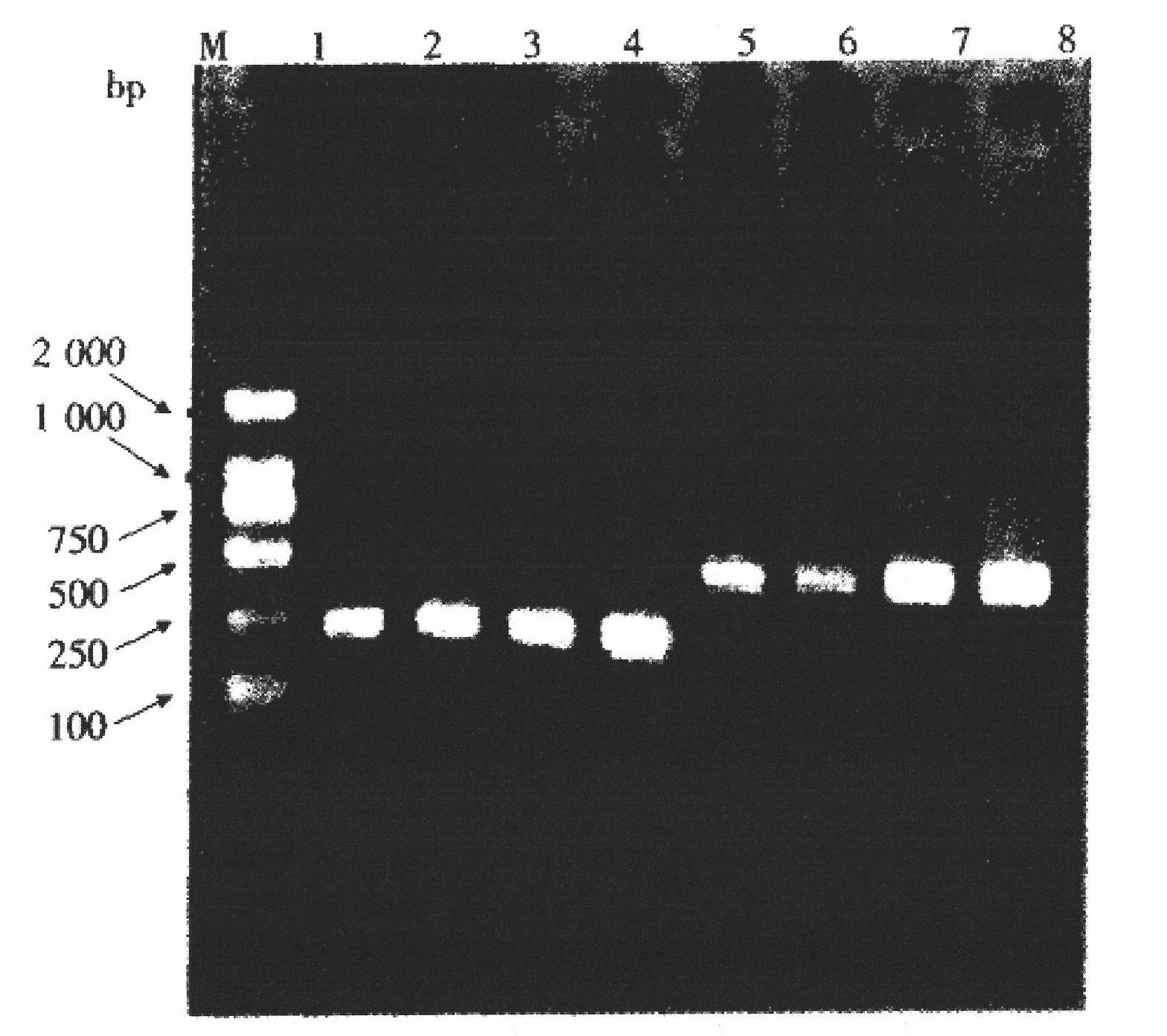 Analysis method for detecting diversity of soil microorganism