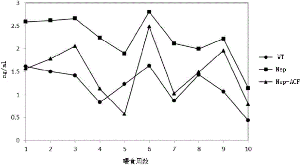 Adsorbent capable of reducing in vivo urotoxin