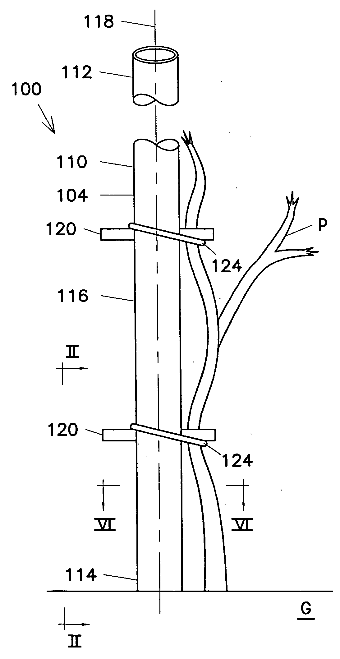 Tomato stake