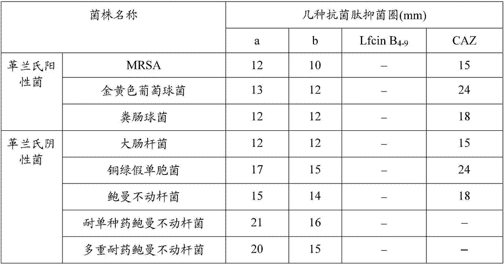 Antimicrobial hexapeptide and its derivative and application