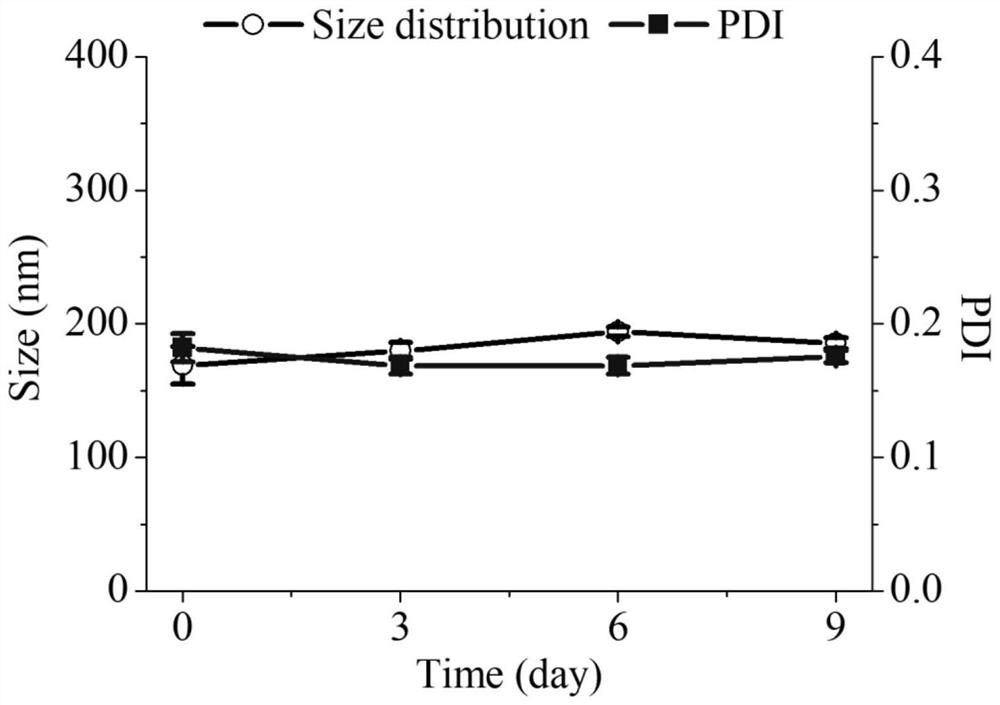 NO-loaded docetaxel nano-drug as well as preparation method and application thereof