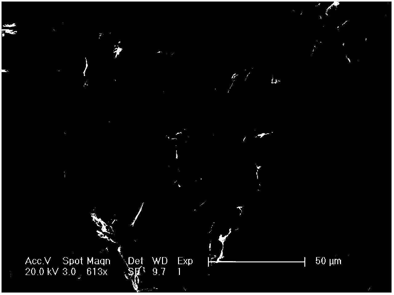 Carbon-based electrode material, preparation method of carbon-based electrode material and energy storage device