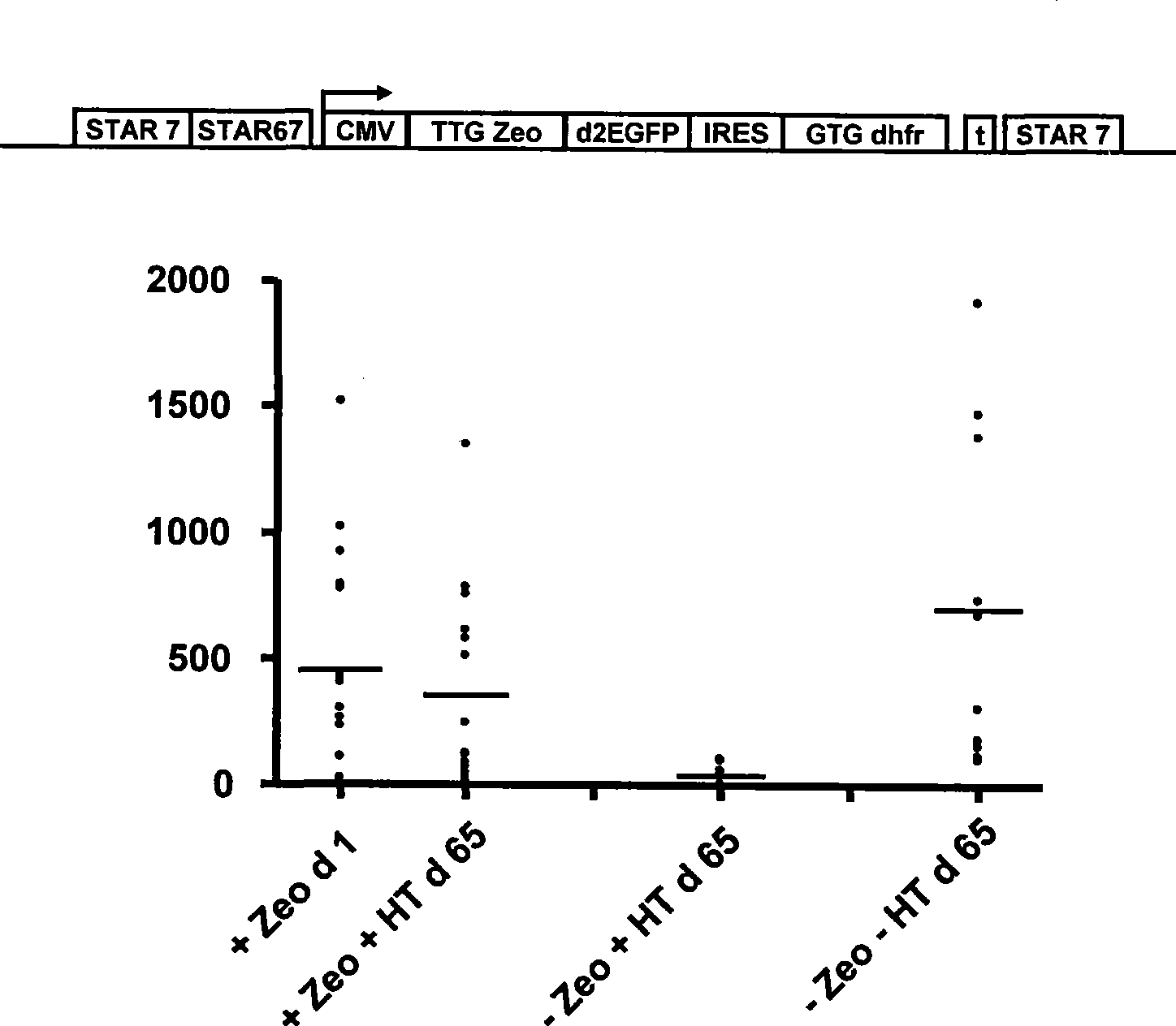 Selection of host cells expressing protein at high levels