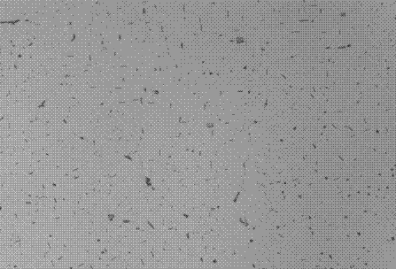 Preparation method of Al-Mg-Si alloy profile for high speed motor car