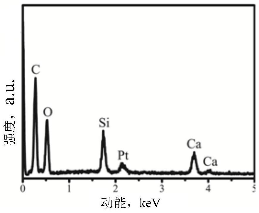 Spherical mesoporous calcium silicate/chitosan three-dimensional porous scaffold material, preparation method and application