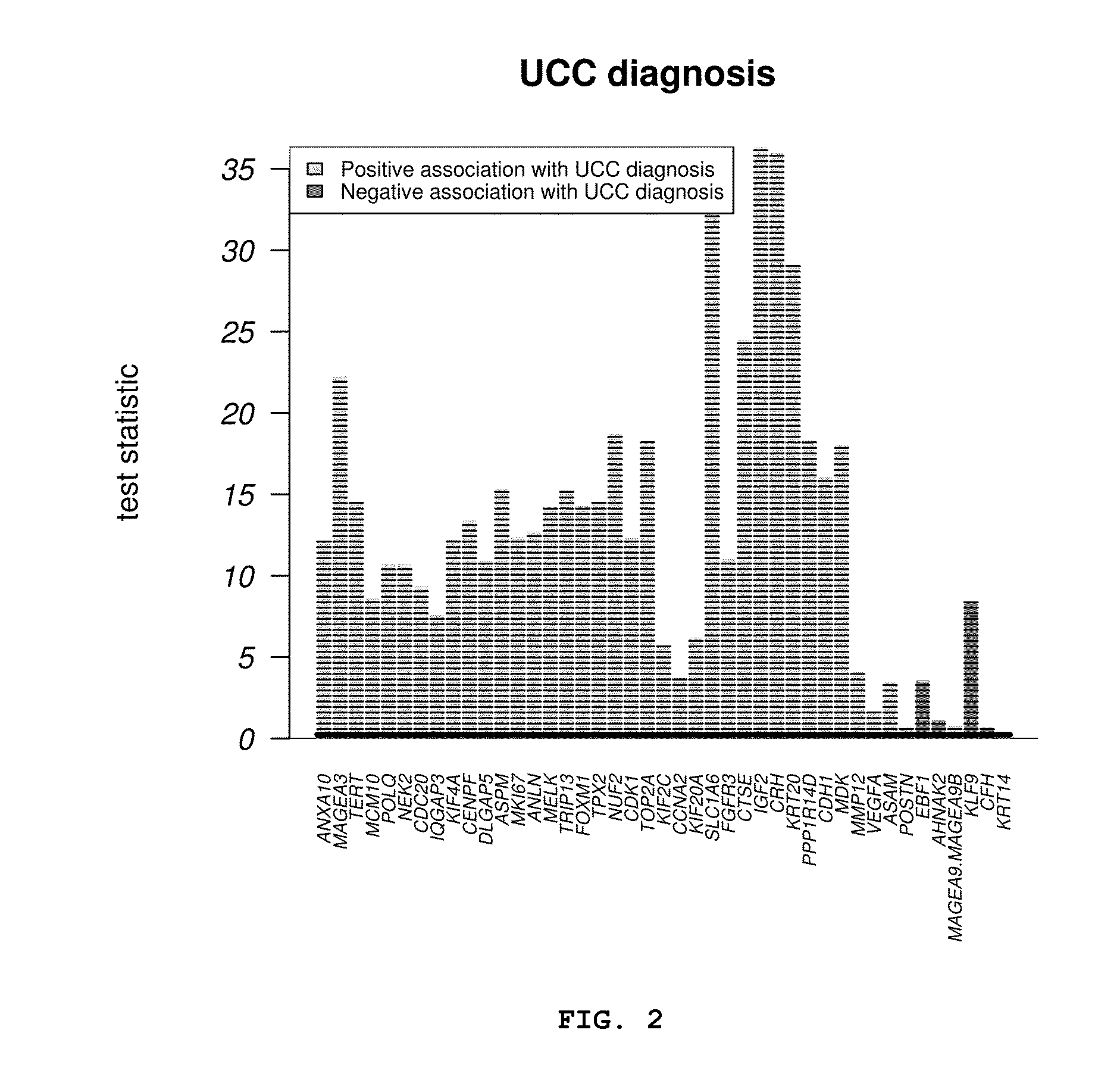 Non-invasive diagnostic method for diagnosing bladder cancer