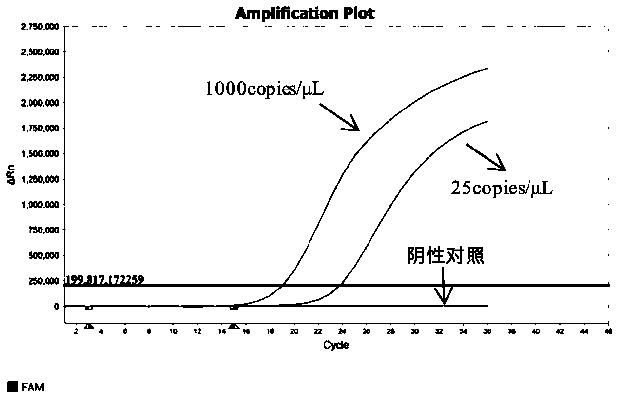 Composition for detecting multiple gene mutations of lung cancer once and application of composition