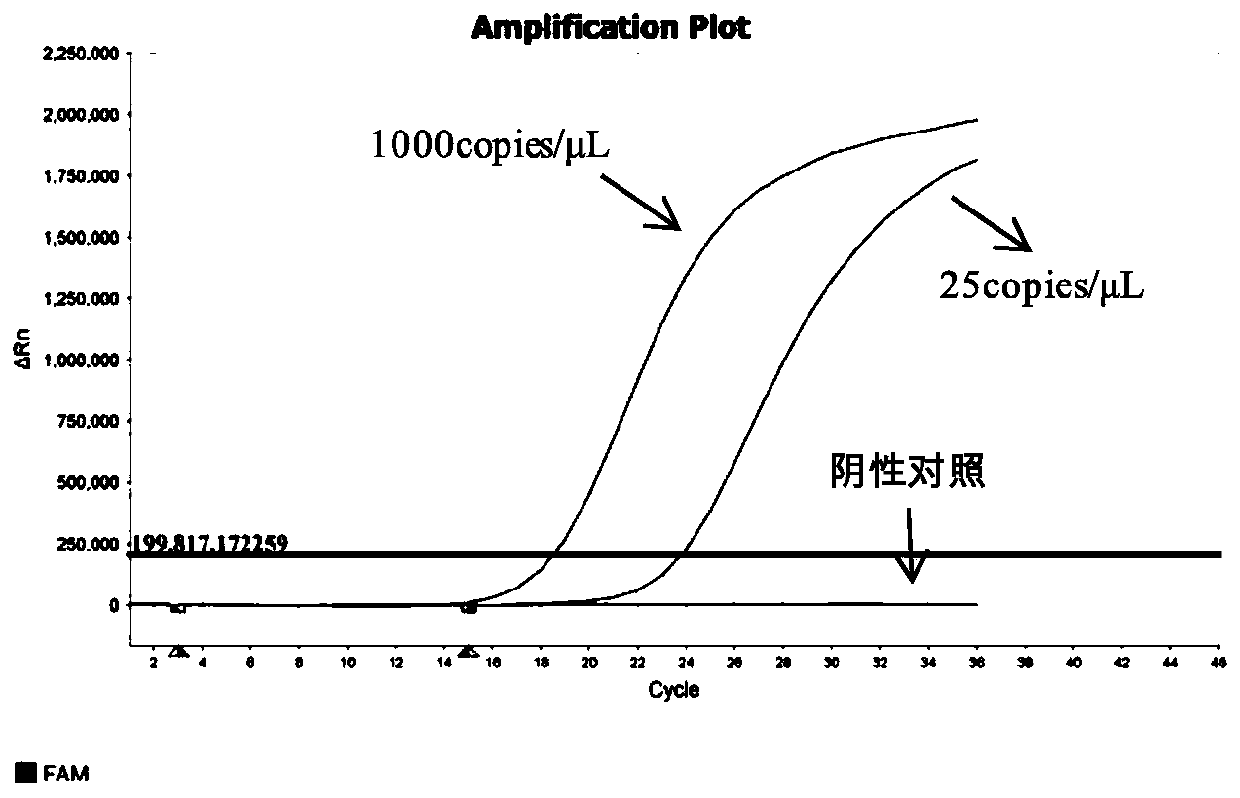 Composition for detecting multiple gene mutations of lung cancer once and application of composition