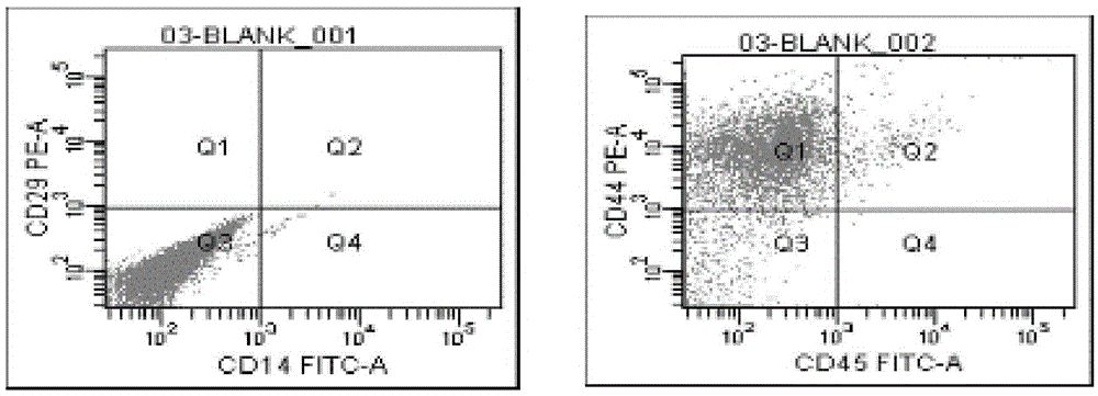 Application of exosome derived from human mesenchymal stem cells to resistance to tissue fibrosis and scar forming