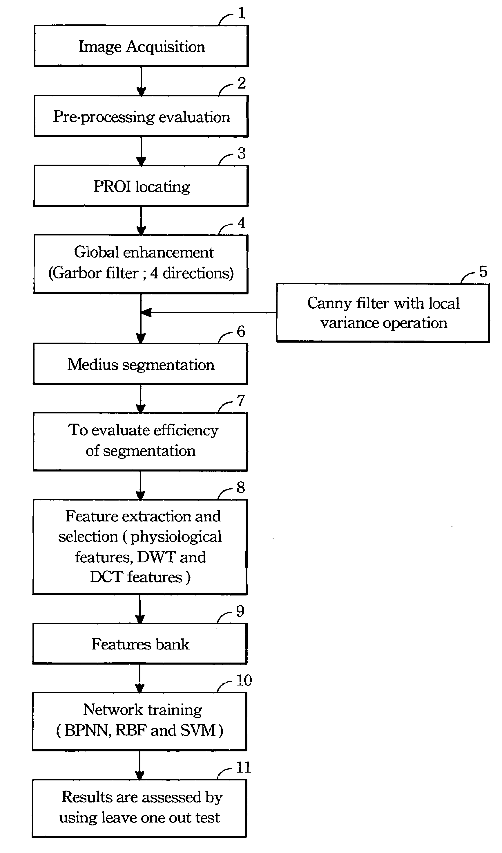 Method of automatically assessing skeletal age of hand radiographs