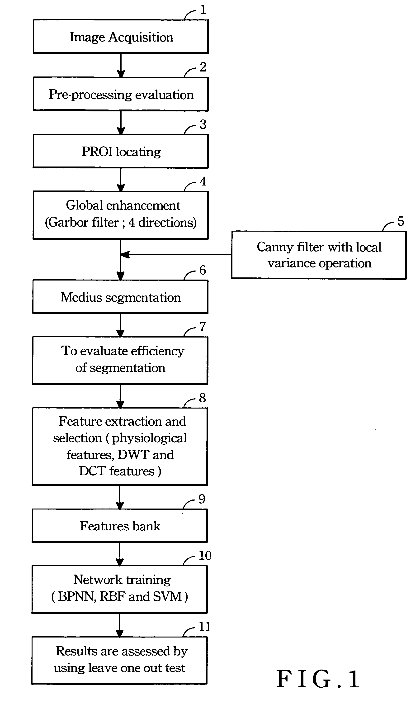 Method of automatically assessing skeletal age of hand radiographs