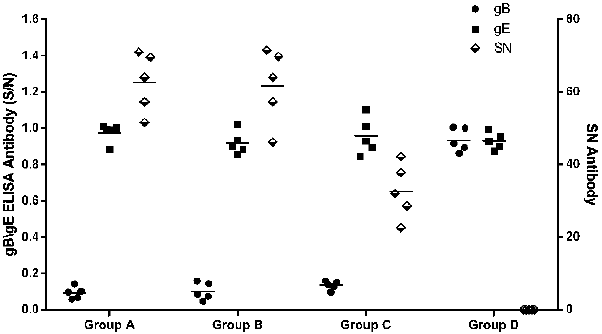 Porcine pseudorabies virus with six-gene deletion, porcine pseudorabies vaccine and preparation method