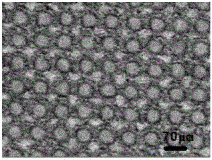 Method for preparing aluminum alloy super-hydrophobic functional surface by laser marking machine