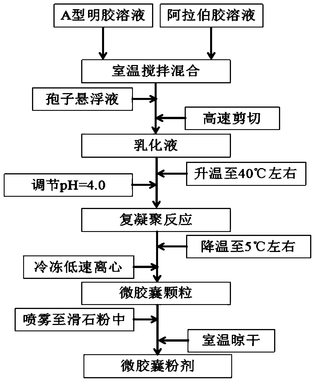 A kind of conidia microcapsule of metarhizium anisopliae and its preparation method and application