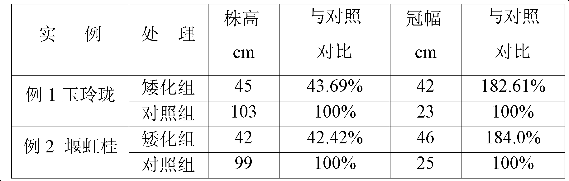 Method for stunting potted osmanthus fragrans