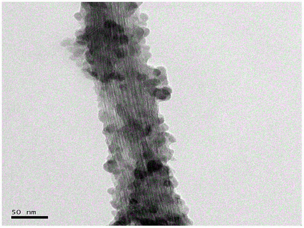 Method for preparing boron phosphate modified carbon nano tube