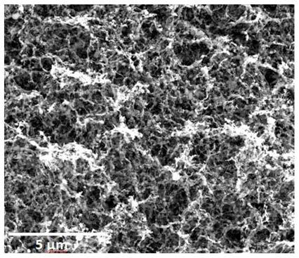 Three-dimensional silicon-carbon composite negative electrode material and preparation method and application thereof in lithium ion battery