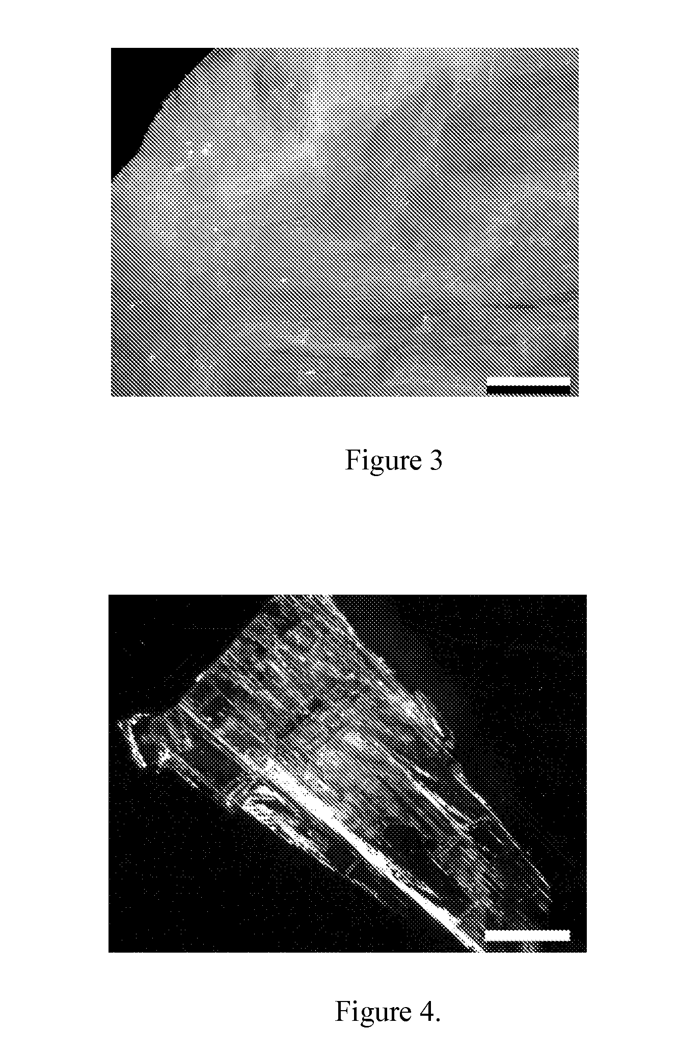 Porous polymer scaffolds for neural tissue engineering and methods of producing the same