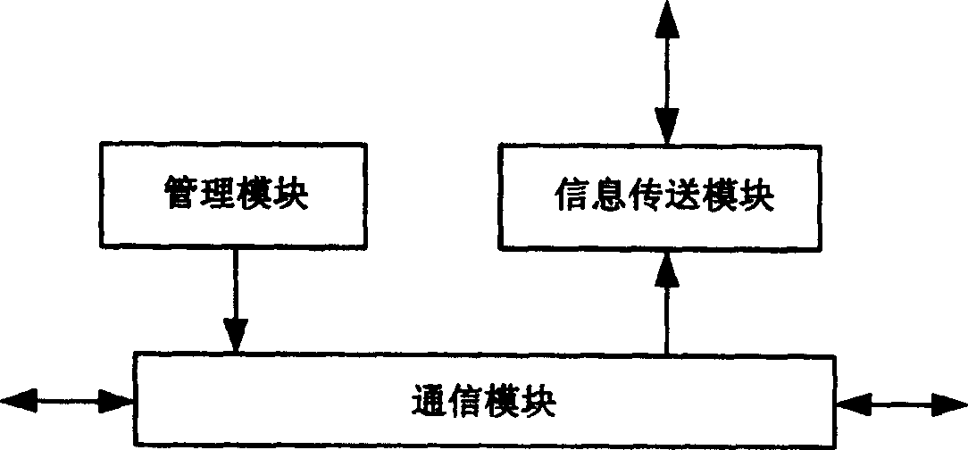 System and method for transmitting information from information server to mobile terminal