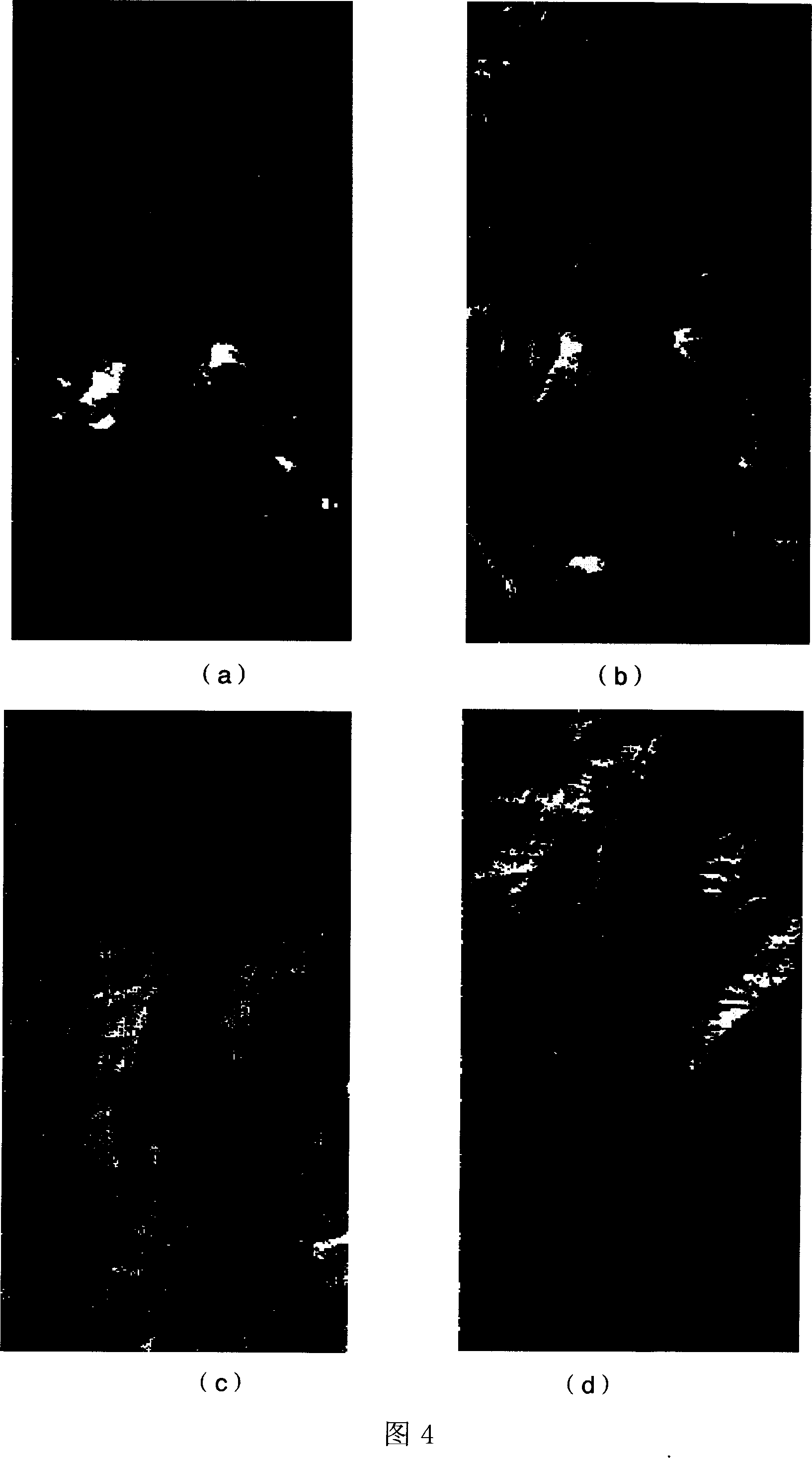 High spectrum mineral map plotting method