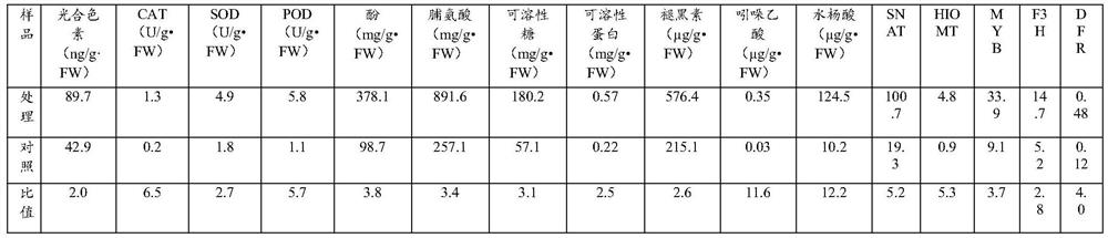 High-temperature-resistant coloring early selection method for early-medium-maturing apple hybrid seedlings