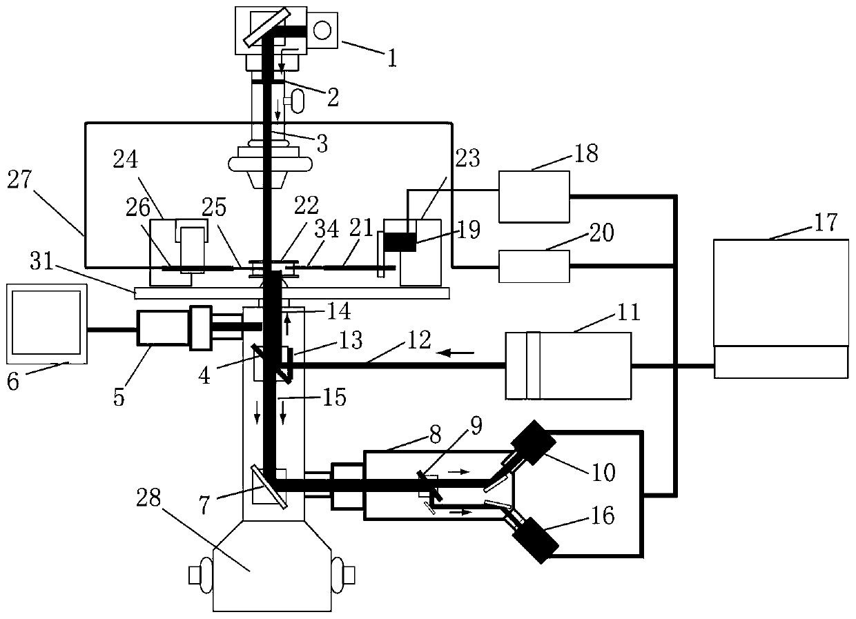 Fluorescence-patch clamp-micropipette detection device