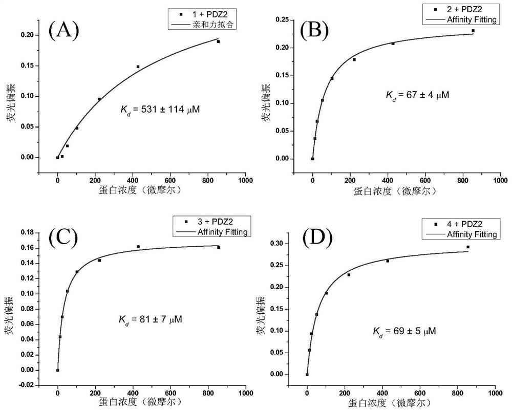 A kind of polypeptide targeting syntenin protein and its dimer and application