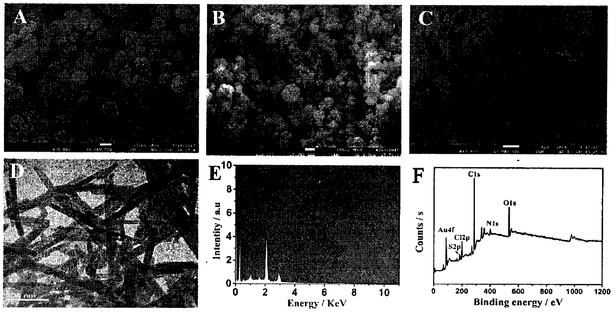 Preparation method of biosensor for alpha 2,3 saliva acidification glycan detection