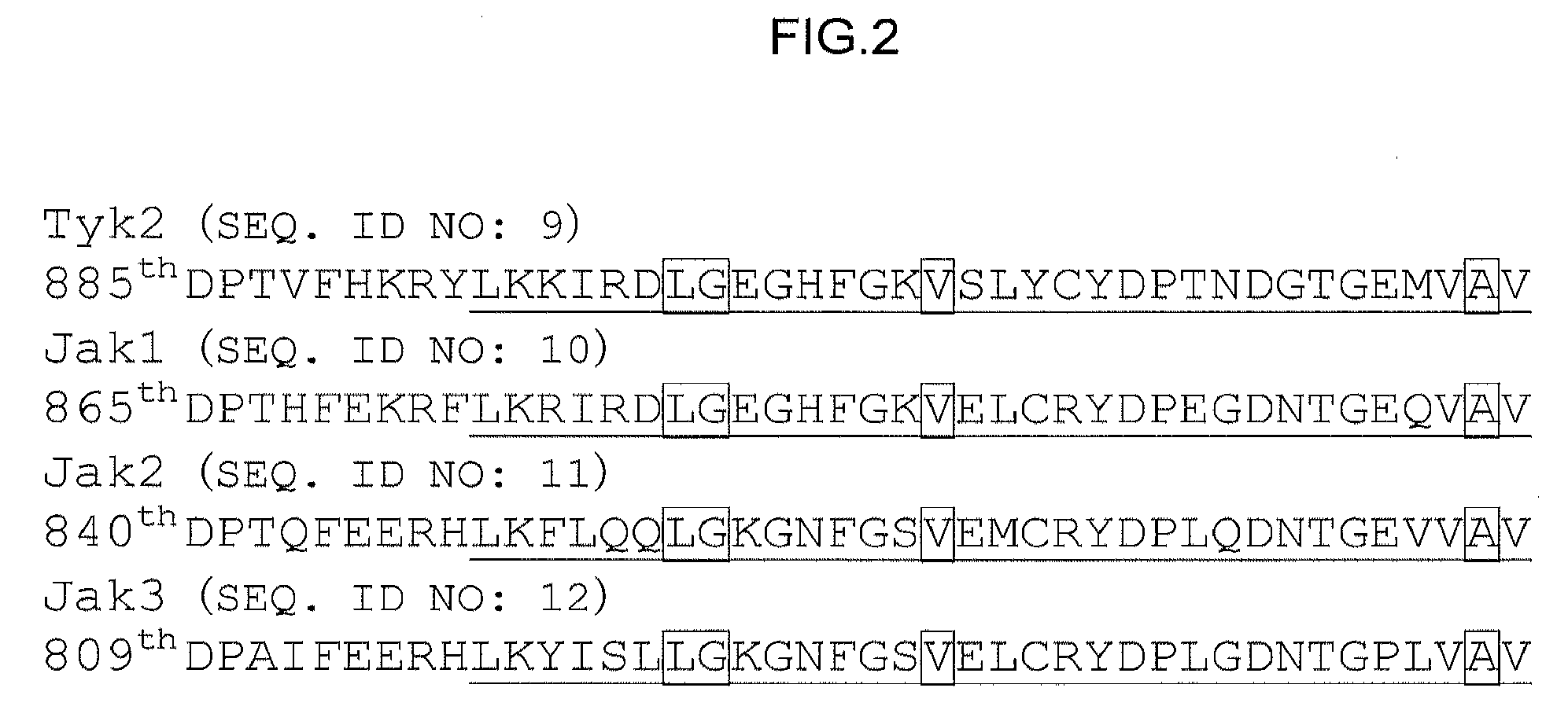 Diagnostic method of skin inflammatory disease