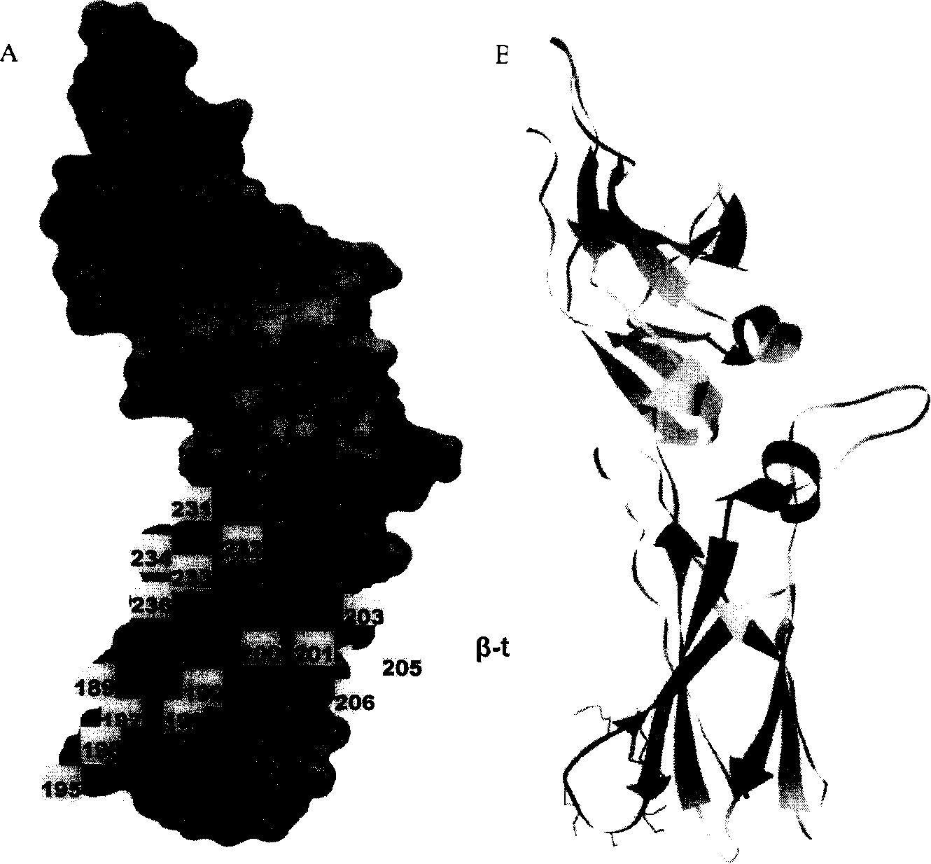 High anticoagulating active antihuman tissue factor monoclone antibody, preparation method and application thereof