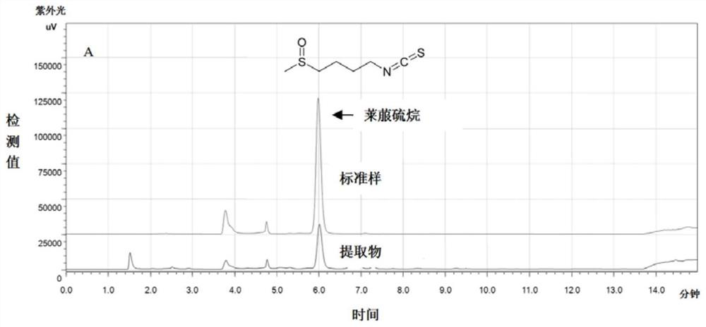 A kind of sulforaphane with anti-influenza virus effect and its preparation method and application