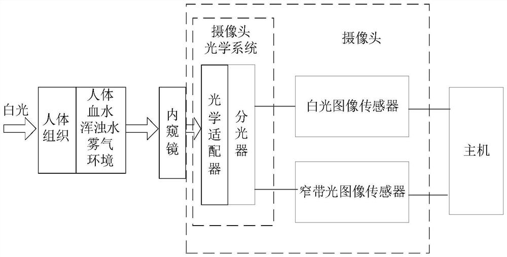 Polarized light endoscope device camera optical system, camera, and endoscope device