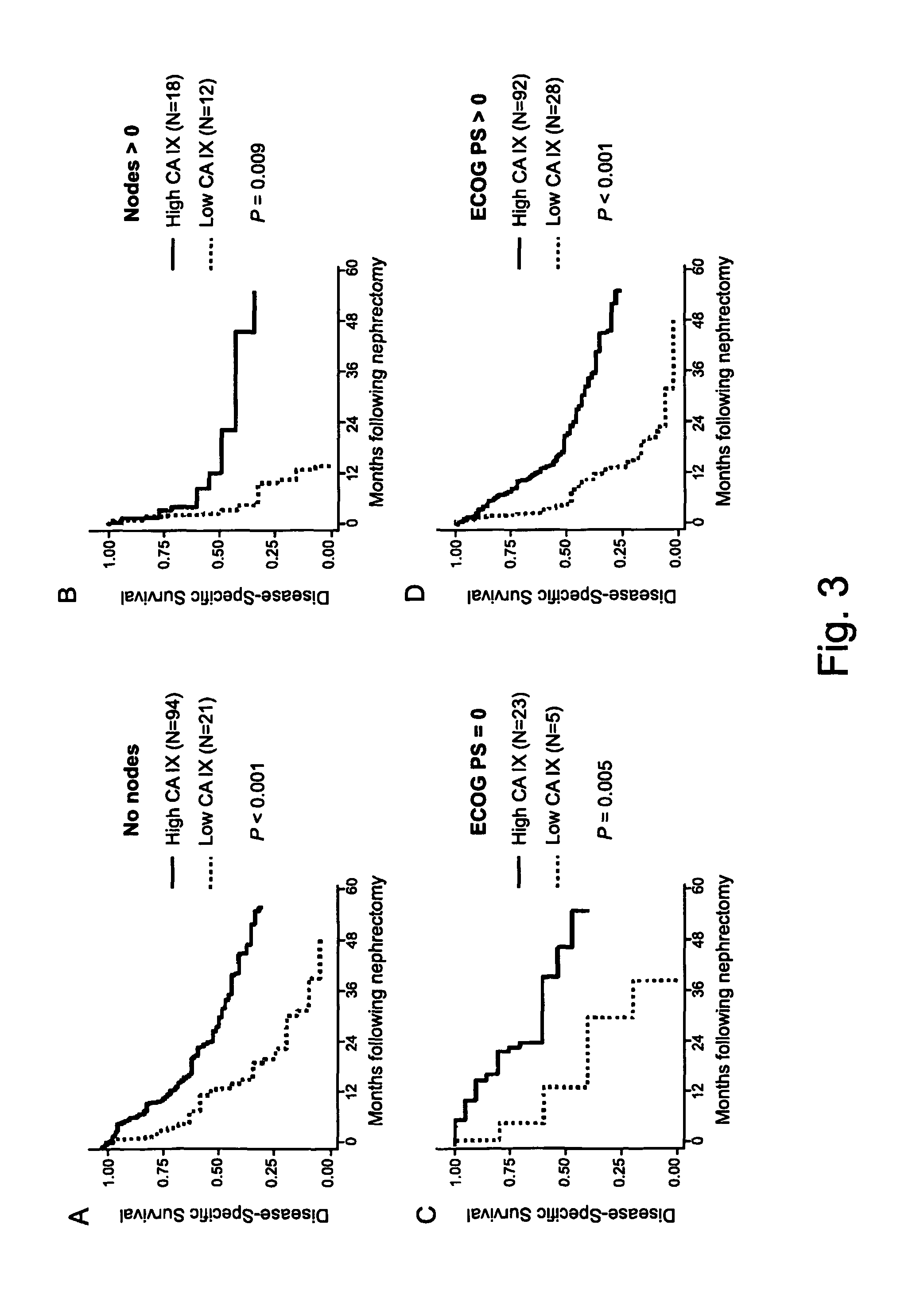 Methods of renal cell carcinoma prognosis and treatment selection with carbonic anhydrase IX