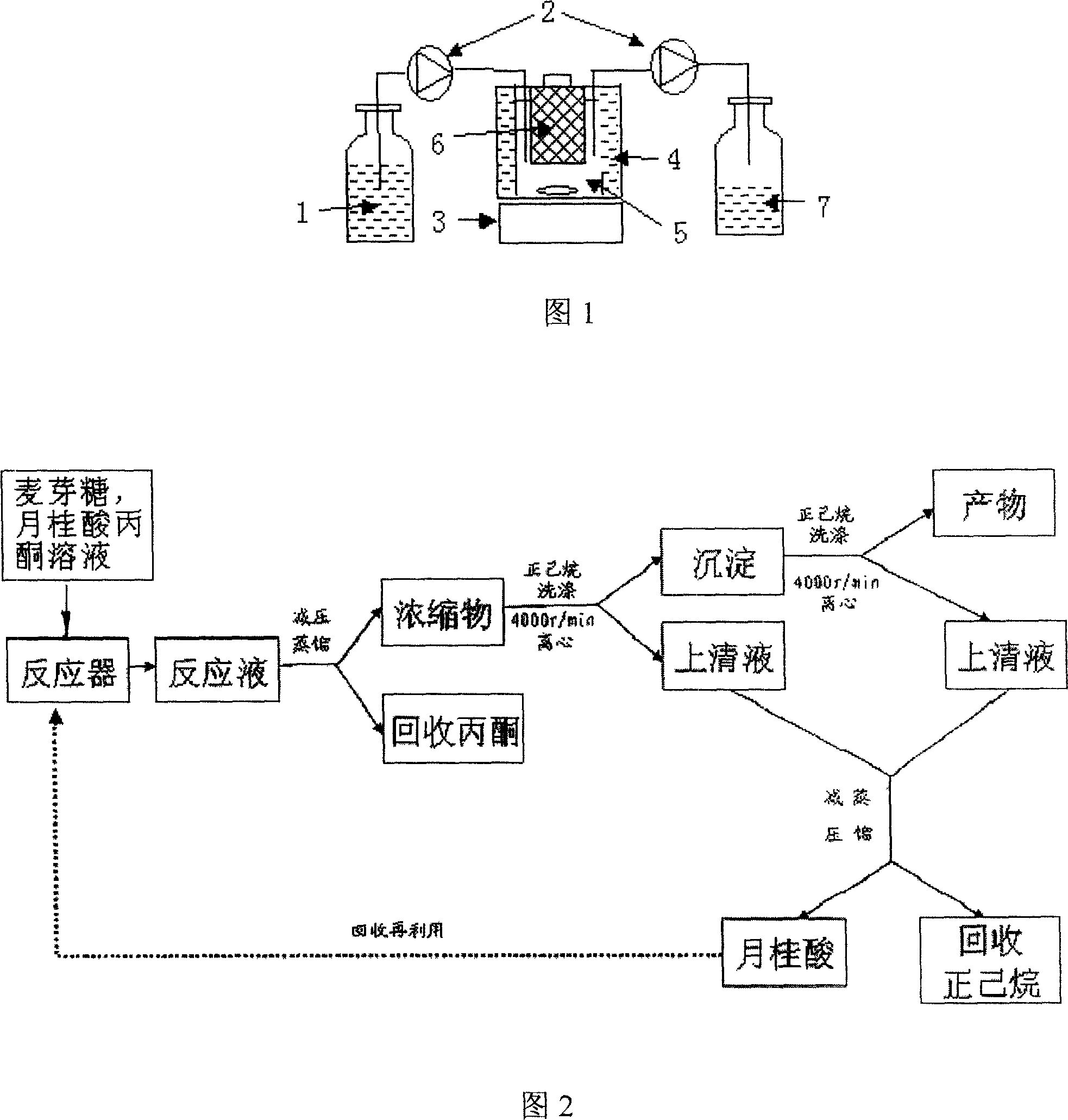 Enzyme catalysis method for continuous synthesis of lauroyl maltose under organic phase