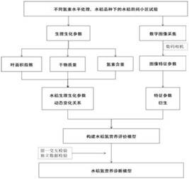 Rice nitrogen nutrition estimation method based on canopy image feature derivation