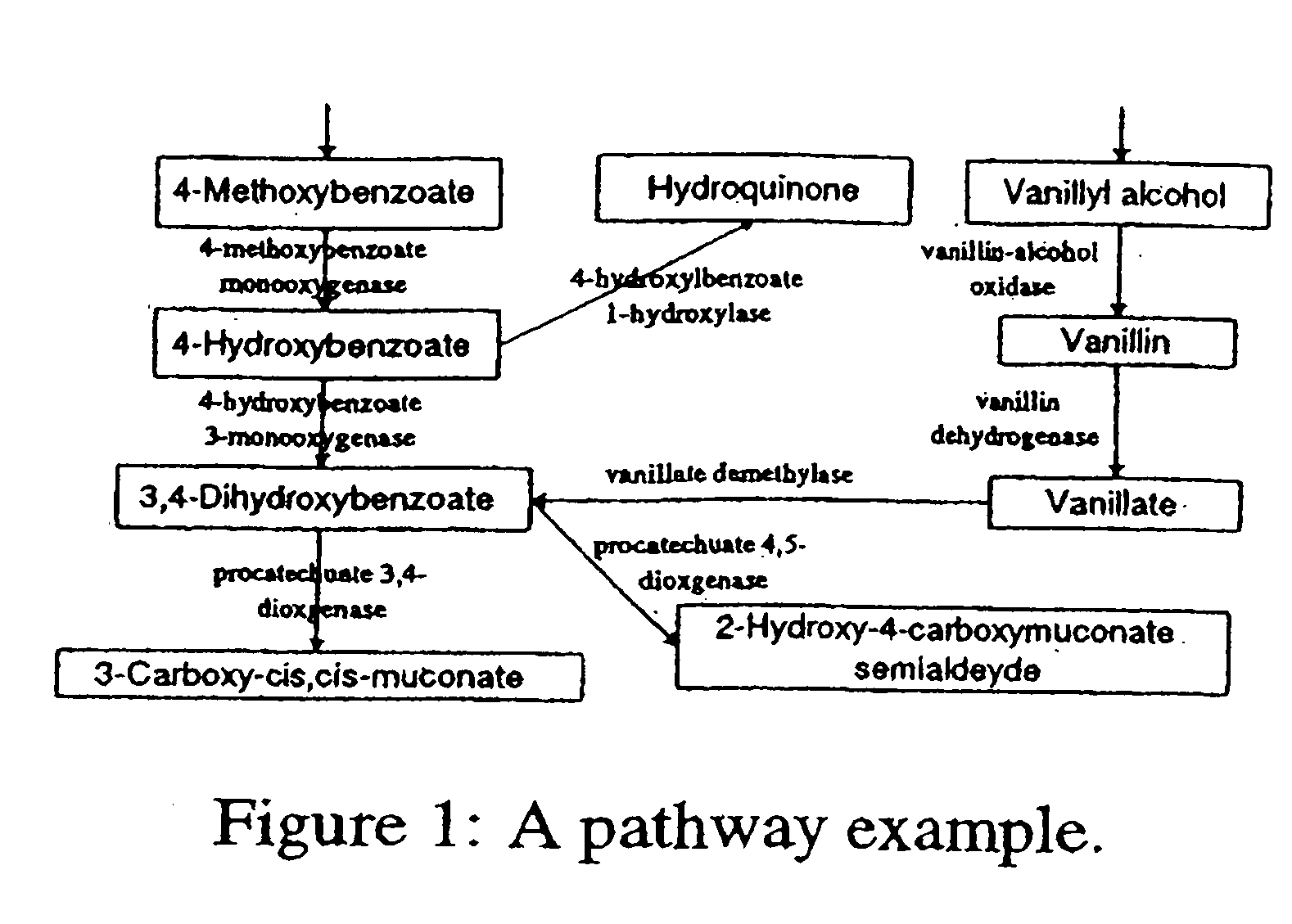 Systems and methods for fast reachability queries in large graphs