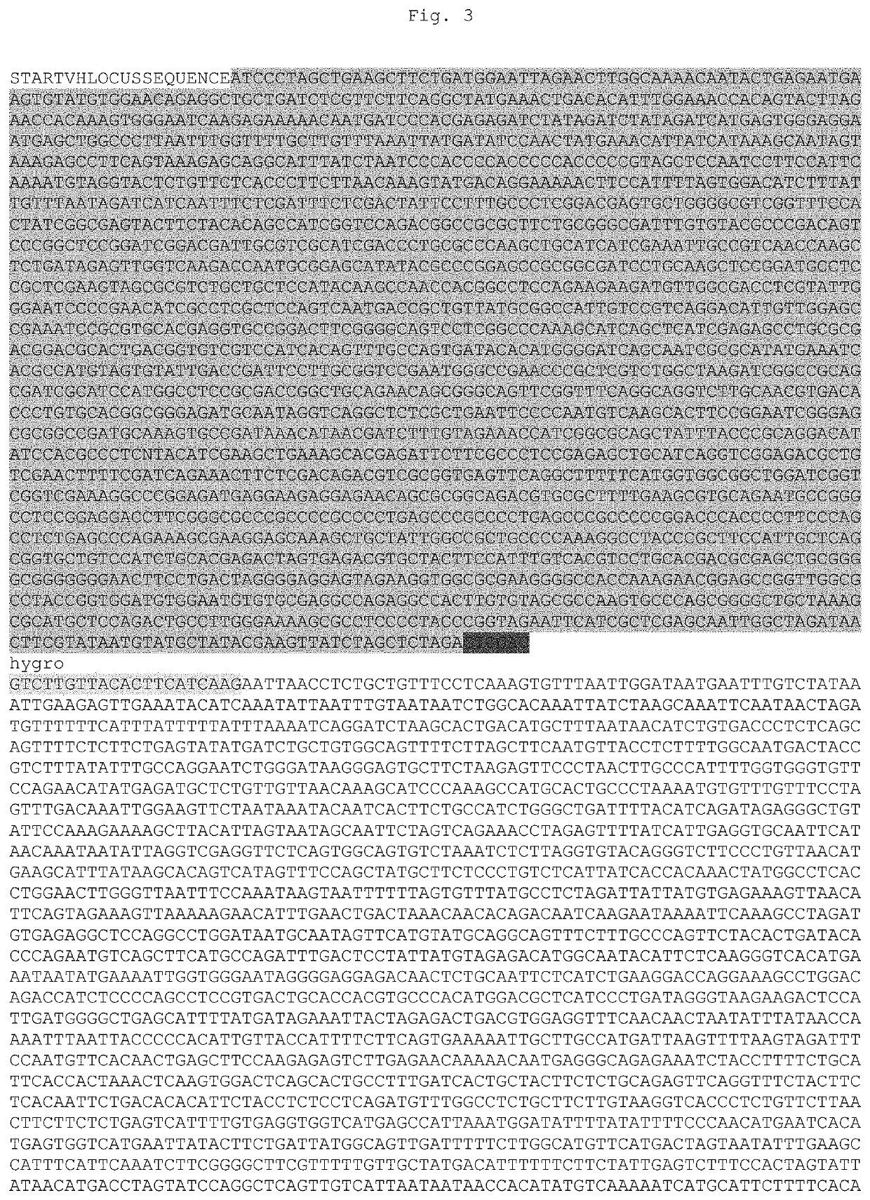 Production of heavy chain only antibodies in transgenic mammals