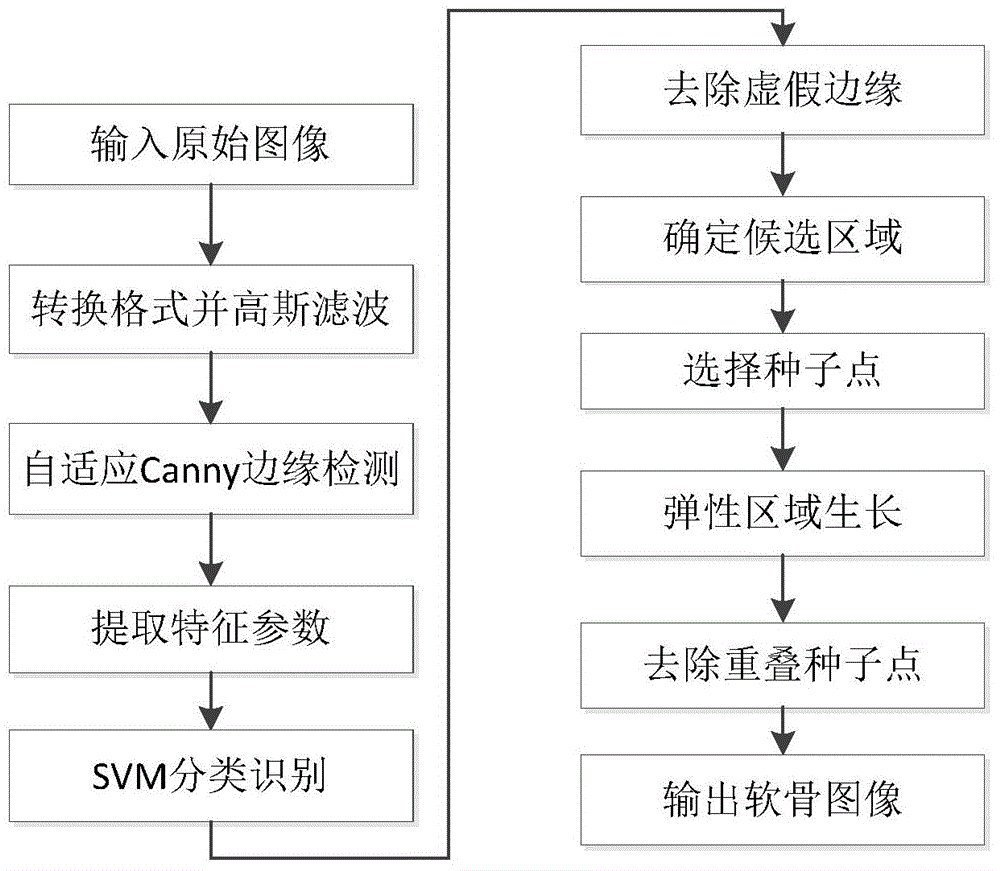 Automatic knee cartilage image partitioning method based on SVM (support vector machine) and elastic region growth