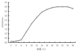 Application of paracoccus denitrificans in removal of nitrate nitrogen in high-salinity wastewater