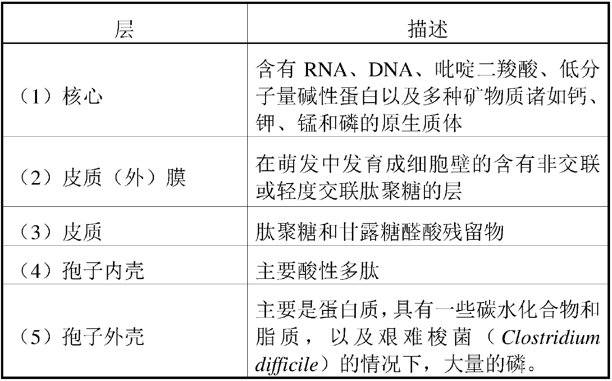 Antimicrobial composition having efficacy against endospores