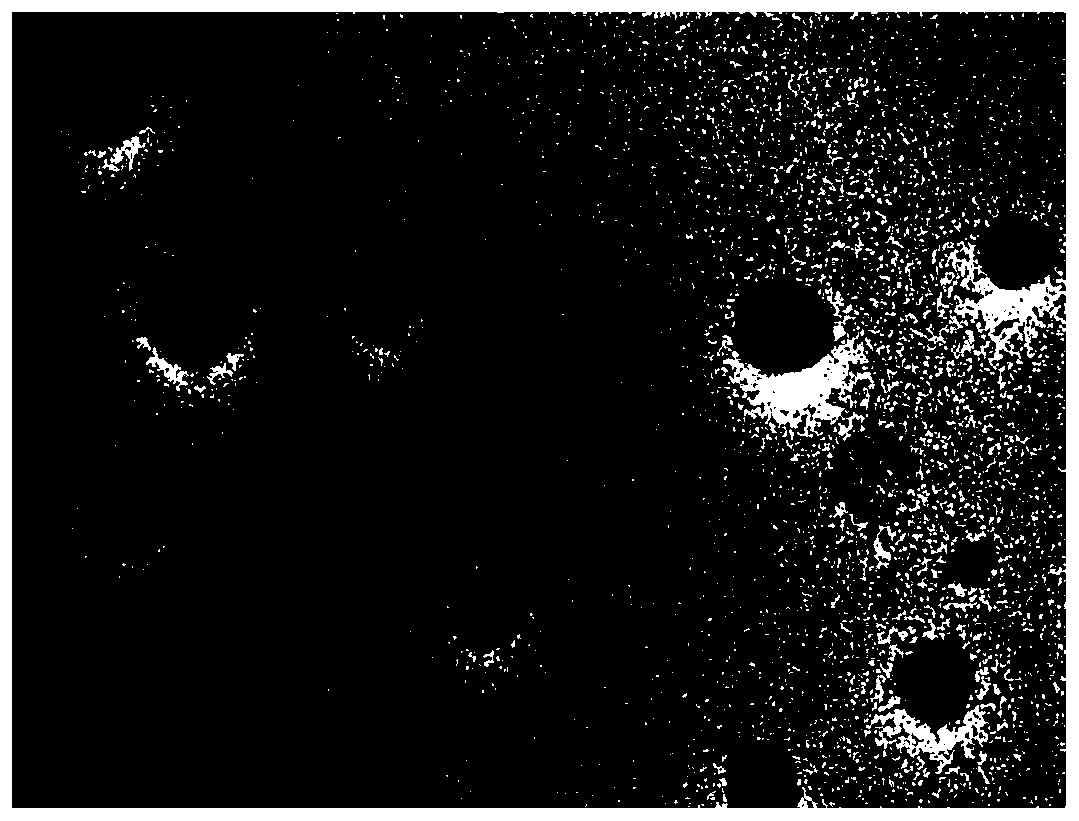 Astaxanthin nanoliposome and preparation method and application thereof