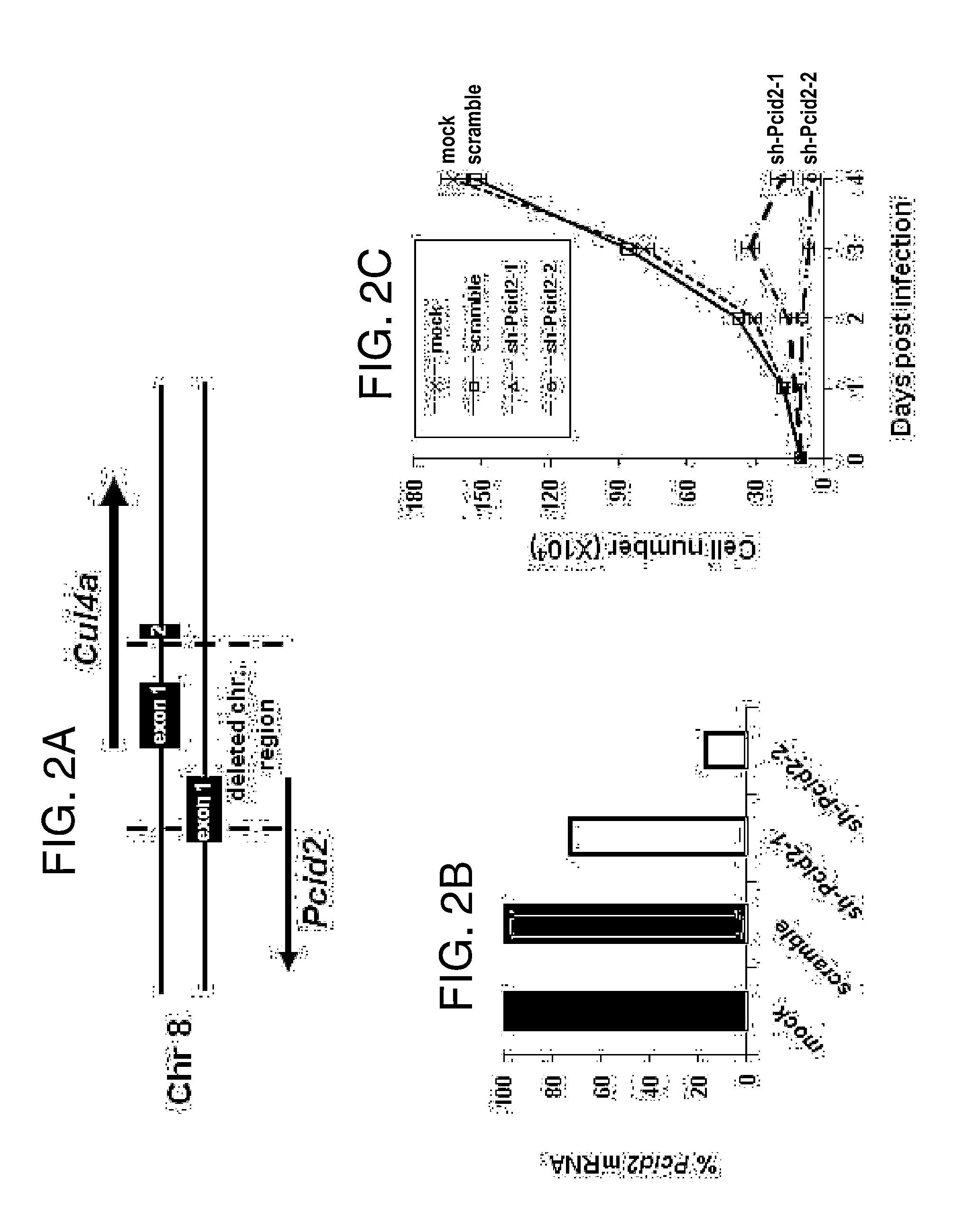 Substances and compositions for enhancing DNA repair and methods of use