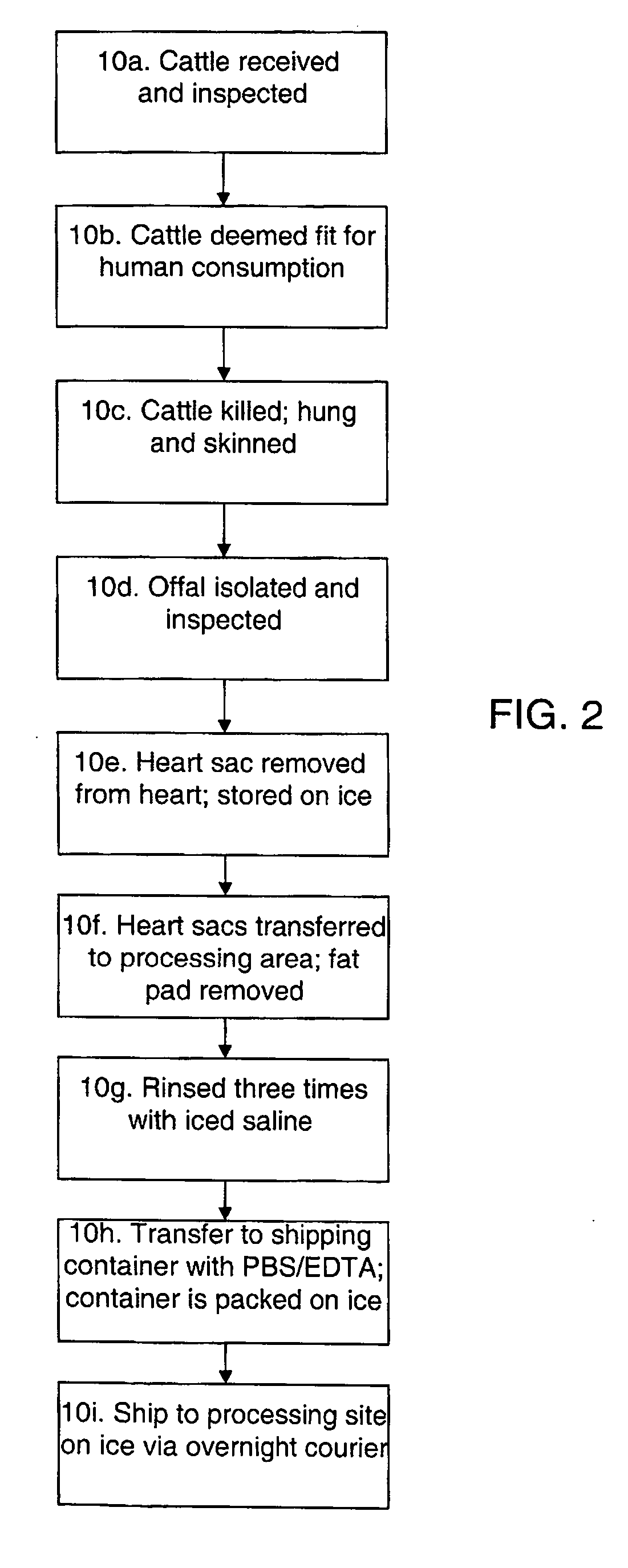 Methods for processing biological tissue