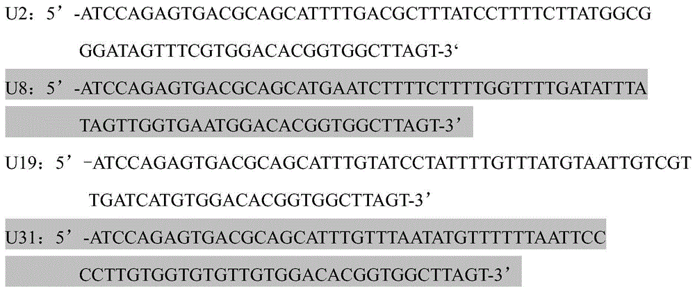 A nucleic acid aptamer specifically binding to human epidermal growth factor receptor type iii mutant and its application