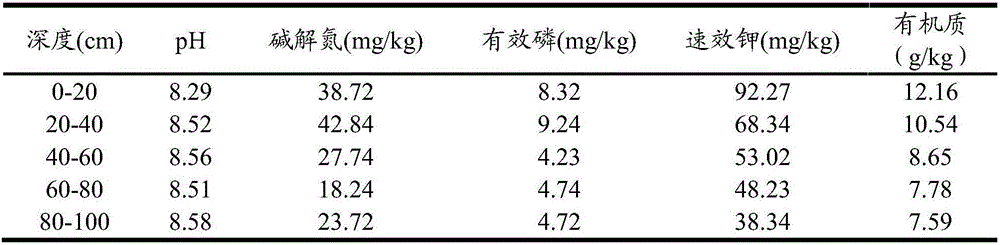 Fertilizer suitable for Loess Plateau full-fruit-period early-bearing walnut trees and fertilizer application method thereof