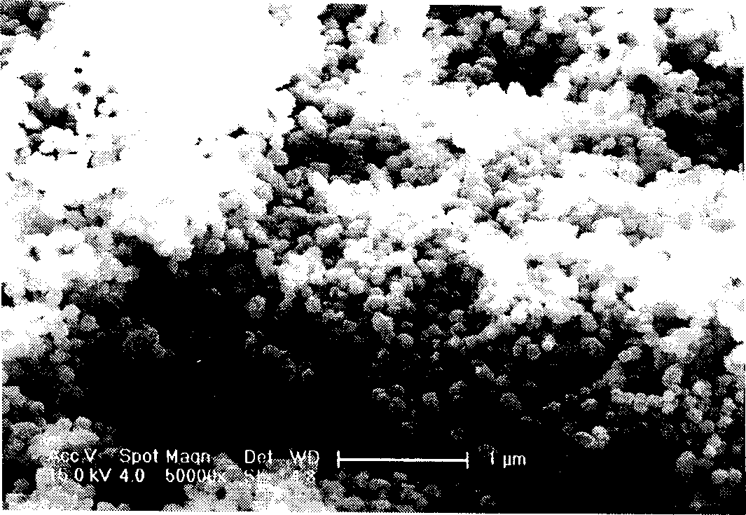 Liquid phase fluidized reduction method for preparing nanometer nickel powder