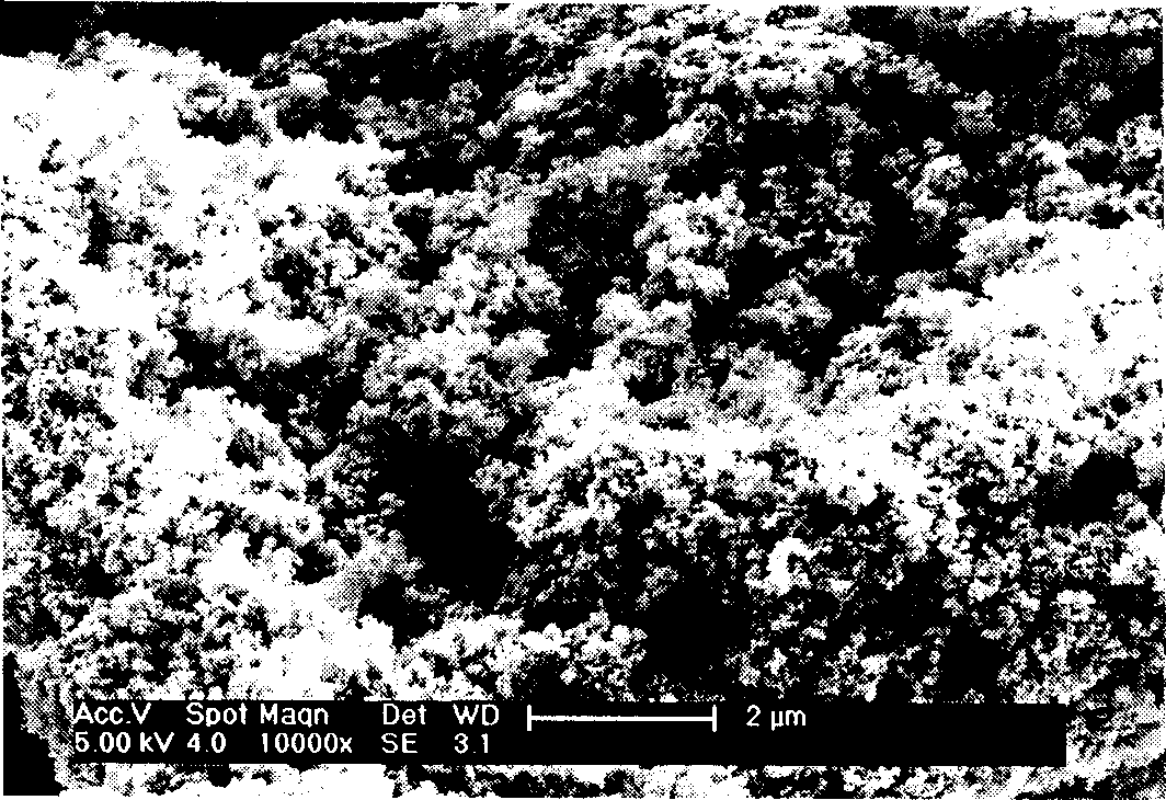 Liquid phase fluidized reduction method for preparing nanometer nickel powder