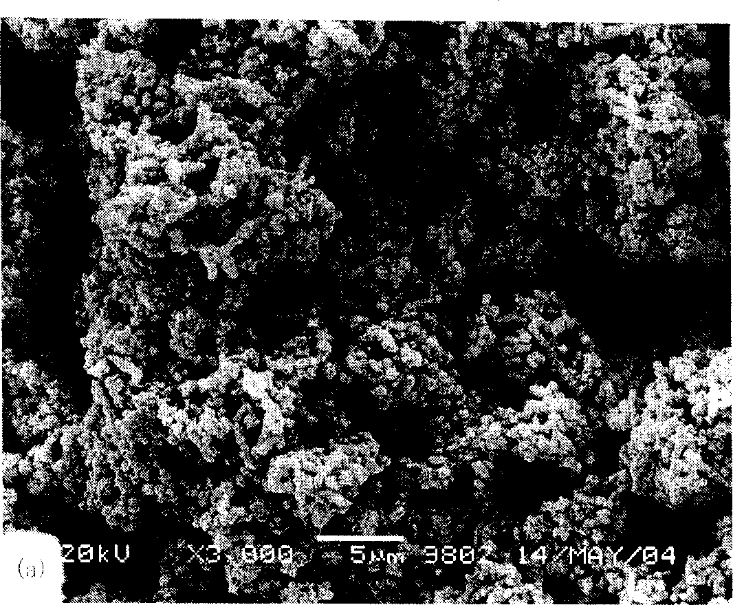 Liquid phase fluidized reduction method for preparing nanometer nickel powder